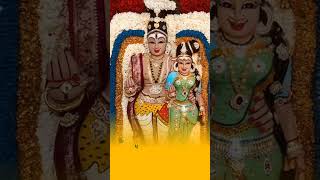 Meenakshi sundareswarar Madurai festivalwhatsappstatus instagram facebook telegram [upl. by Eirrehs]