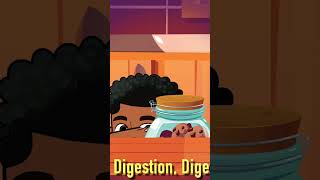 Fun Digestive System Song for Kids Hook [upl. by Attenwad]