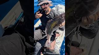 3 MUST Για τον ΑΝΤΡΑ 🫡🫡 fishing kayakfisherman fish kayakfishing [upl. by Conny]