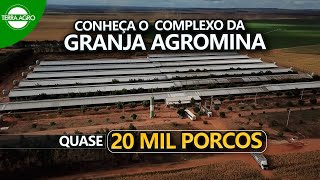 GRANJA AGROMINA  CONHEÇA O FUNCIONAMENTO DA MAIOR GRANJA DE SUÍNOS DO NORTE NORDESTE [upl. by Ganiats]