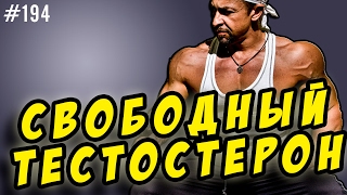 Свободный тестостерон Общий тестостерон [upl. by Lapides]