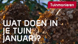 Wat doe je in de tuin in januari  Tuinmanieren [upl. by Hulburt165]