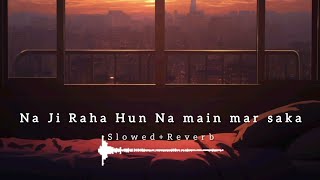 Na me mar saka  mujhe peene do slowedreverb Darshan raval lofi song For heart brokens [upl. by Aleahcim]