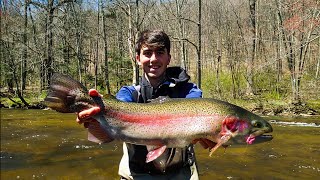 How to Catch BIG Stocked Trout in the Spring Fishing for HUGE Rainbow Trout 25 in fish [upl. by Colligan602]