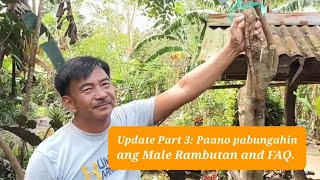 Update Part 3 Paano pabungahin ang Male Rambutan and FAQ [upl. by Nirhtak899]