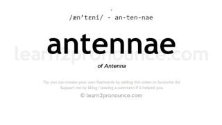 Pronunciation of Antennae  Definition of Antennae [upl. by Nnodnarb]