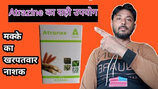 मक्का की फसल में खरपतवार का नियंत्रण ।Atrazine का प्रयोग करने का तरीका।Atrazine 50WP [upl. by Bailar]