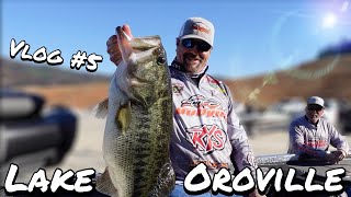 A Bass Tournament Experience  Fish of a Lifetime Weighed in at Lake Oroville March 2021  Vlog 5 [upl. by Amin]