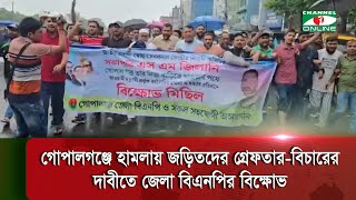 গোপালগঞ্জে হামলা ও হত্যায় জড়িতদের গ্রেফতারবিচারের দাবীতে জেলা বিএনপির বিক্ষোভ [upl. by Lan]