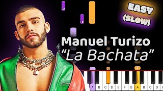 Manuel Turizo La Bachata Piano Tutorial Easy SLOW 50 Speed [upl. by Shelden]