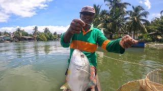 Wow Grandpa Catching Back To Back Trevally Fish Using Live Baits I Happy Day For Fisherman [upl. by Toblat]