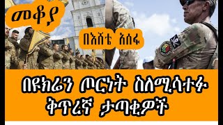 Sheger Mekoya “በመንግስት ላይ መንግስት በወታደር ላይ ወታደር” በእሸቴ አሰፋ Eshete Assefa Wagner Group ampAzov Battalion [upl. by Inalem]