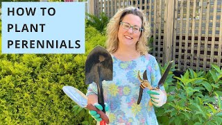 How to Plant Perennials the Easy Way [upl. by Gardiner]