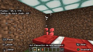 Minecraft20241114225902 [upl. by Jany]