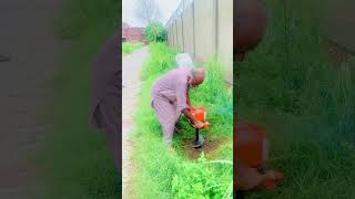 Plantation of trees in Haria village [upl. by Zeba]