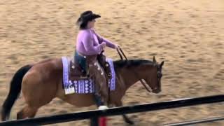 Azza Hot Machine  2012 AQHA Gelding [upl. by Angelina]