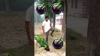 Rounding vegetables to birds names magic vfx bideo🤣 😂shorts viralvideo viralshort youtubeshorts [upl. by Beilul]