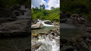 Making a swimming pool in a forest River shorts viralvideo [upl. by Woodman538]