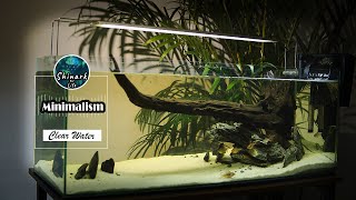 Biotope clearwater fish tanks aquarium set up easy low budget for beginners 1 Shinark and life [upl. by Okiek]