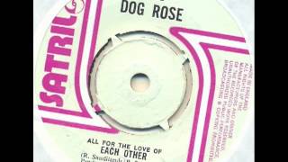 Dog Rose  All for the love of each other UK prog glam folk pop medley [upl. by Ariajay]