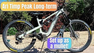 Ari Bikes Timp Peak Longterm Review  170mm travel bike formerly Fezzari [upl. by Ardnait]