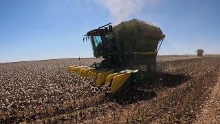 2024 West Texas Cotton Harvest day 5 amp 6 [upl. by Eedyak]