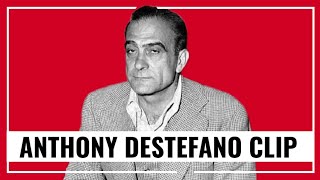 Mob Author Anthony DeStefano Speaks On The Apalachin Meeting Vito Genovese amp More [upl. by Elfont]