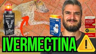 DOSE de IVERMECTINA para CÃES COMO ELIMINAR A COCEIRA E A SARNA DO CACHORRO COM REMÉDIO BARATO [upl. by Kriste]