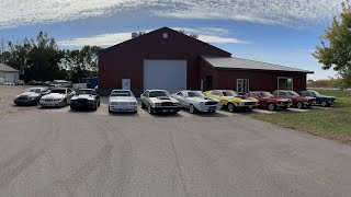 All My Mustangs In One Spot Crazy [upl. by Lecroy793]