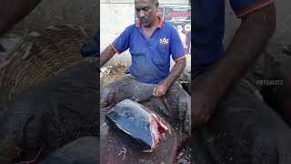 TUNA FISH ♤ KERAI MEEN ♤ BIGFISH CUTTING VIDEO [upl. by Leveridge271]