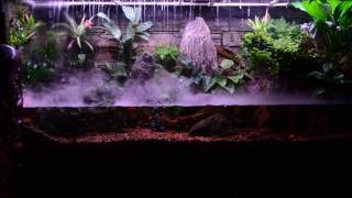 PaludariumThunderstorm Paludarium [upl. by Nerissa516]