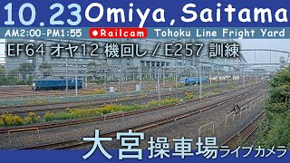 【LIVE】大宮操車場ライブカメラ 20241023 0200 OmiyaSaitamaJapan railcam [upl. by Keeton660]