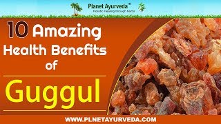 10 Amazing Health Benefits of Guggul Commiphora Mukul [upl. by Eckmann666]