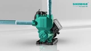 Shimge PWF The Smart Choice for Automatic SelfPriming Pumps [upl. by Reifinnej997]