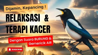 Relaxation Therapy With Kacer Birds  Soothing Water Sounds And Bird Chirps [upl. by Ridan]