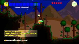 GLITCH  TERRARIA  Dupliquer nimporte quel item version Xbox 360 [upl. by Kreitman844]