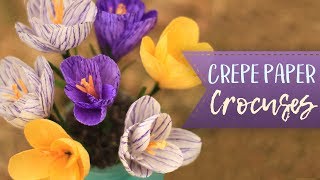 Crepe Paper Crocus Flower Tutorial [upl. by Dauf]