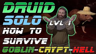 How to Survive The Dungeons Solo Druid  Dark and Darker [upl. by Krystle397]