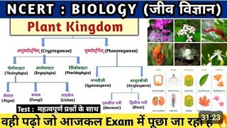 12 Plant Kingdomplanttype of plantstem rootफलfruitsतना जड़ plant फूल flowerfruits फल [upl. by Fryd]