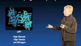 Susan Taylor UCSD Part 1 Protein Phosphorylation in Biology [upl. by Anitsirhk]