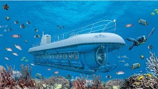 Atlantis Submarines Aruba  De Palm Tours [upl. by Anirac]