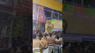 Hanumantha Vaganam Sri Lakshmi Hayavadana Perumal Kovil Nanganallur Brahmotsavam 2024 [upl. by Moorefield911]