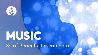 3 Hours of Peaceful amp Relaxing Instrumental Music  Spa Music  Long Playlist  BetterSleep [upl. by Nyahs832]