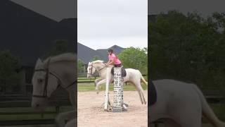 Jumped my first oxer in a year [upl. by Tutto]