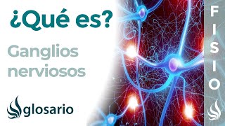 GANGLIOS NERVIOSOS  Qué son tipos ubicación y cuáles son sus funciones [upl. by Nodaj]