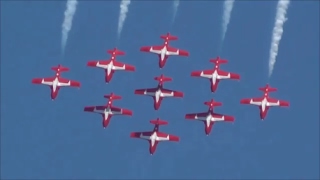 The Canadian Snowbirds [upl. by Jestude]