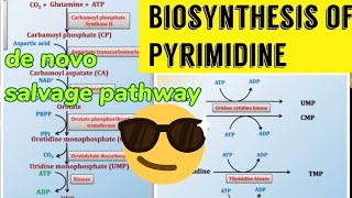 Pyrimidine Biosynthesis De novo amp Salvage pathway 😎😎 [upl. by Simara]