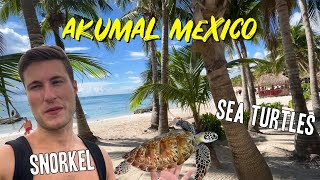 Akumal Mexico 2021  Snorkeling with Turtles amp Travel Tips [upl. by Bandler99]