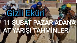 11 ŞUBAT 2024 PAZAR ADANA AT YARIŞI TAHMİNLERİ GİZLİ EKÜRİ KANALİMİZDA [upl. by Rodenhouse]