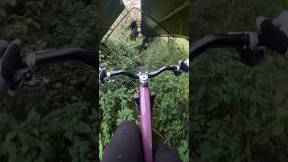 Through the mink farm Hold ya breath for the asbestos uk mtb gopro mtblife fyp nature dh [upl. by Tsirc451]